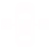 wheel alignment white